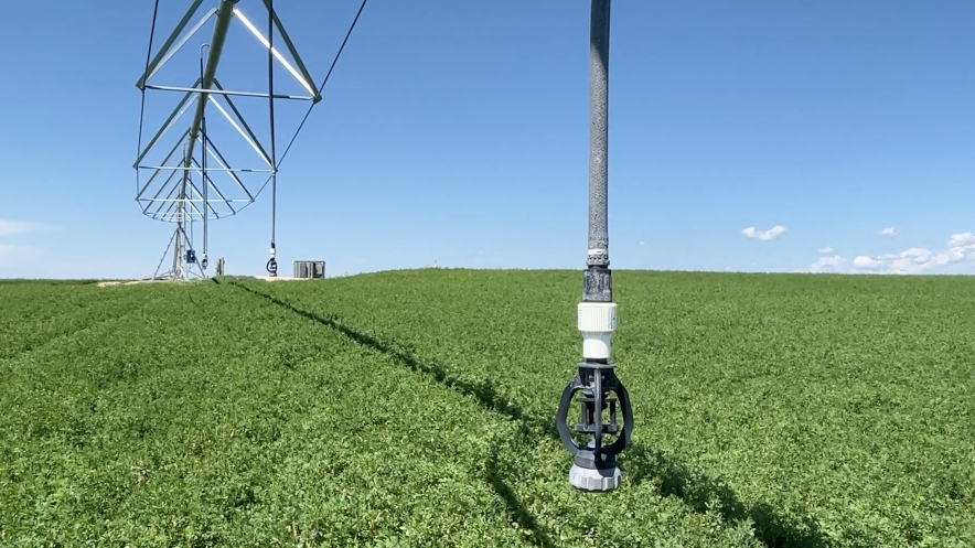 Do you understand the water curtailment issue? 